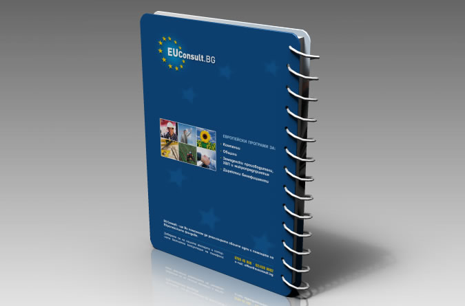 EU Consult-euconsult3.jpg