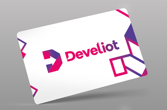 Secret & Develiot-accescard2.jpg
